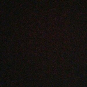 Meet your Posher, Annie